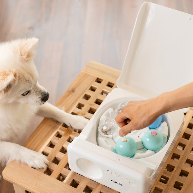 Treatoi Interactive Pet toy x 2