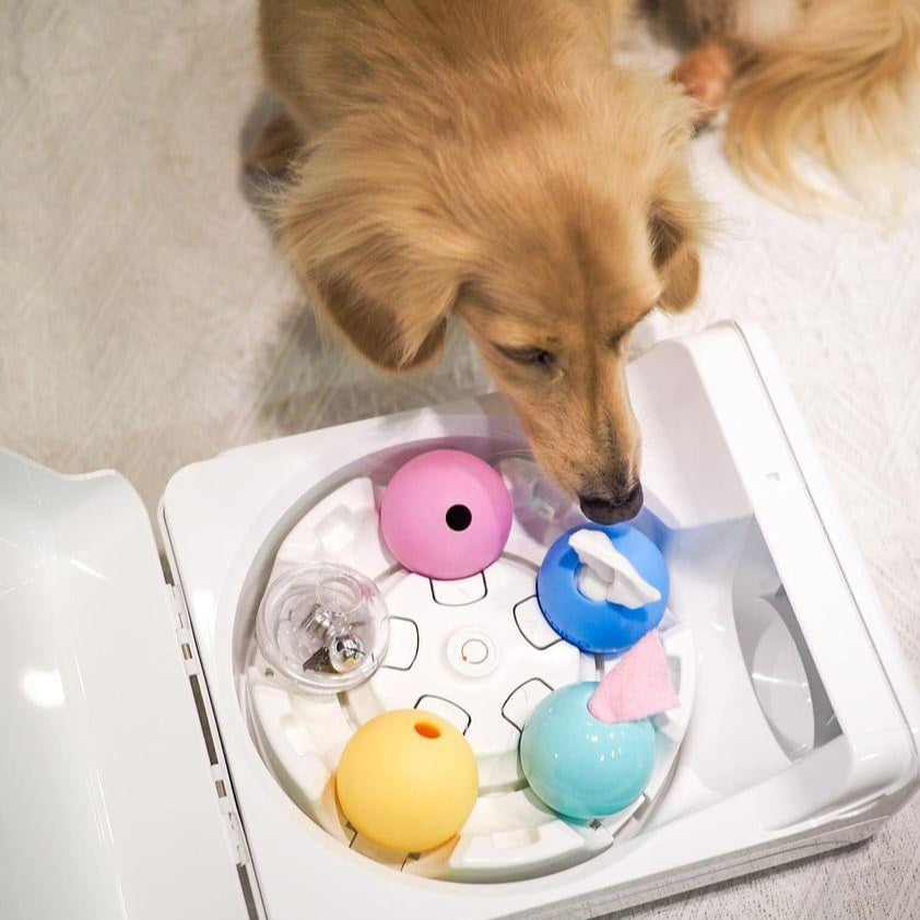 Treatoi Ping Pong Ball