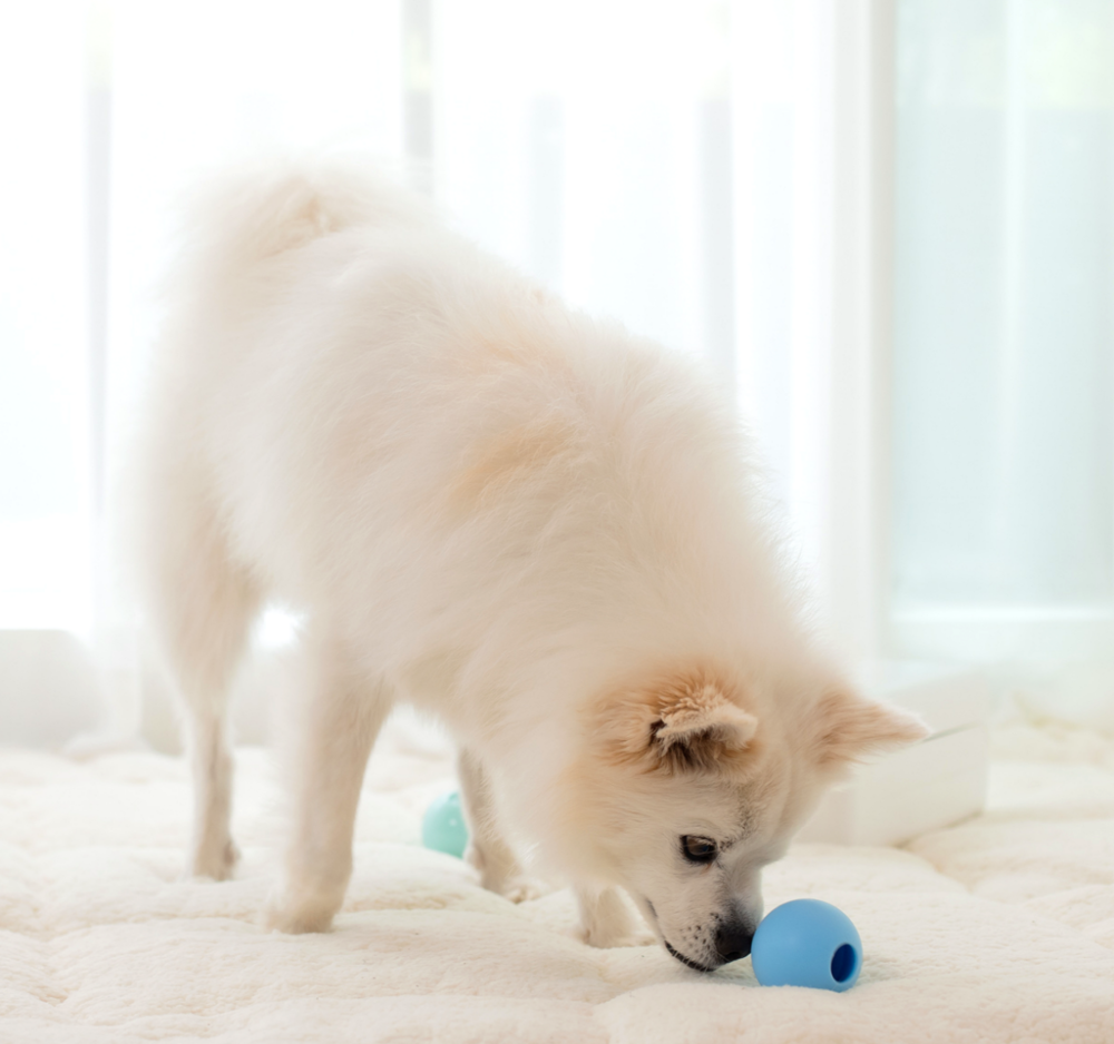 Treatoi Roly Poly Toy Ball