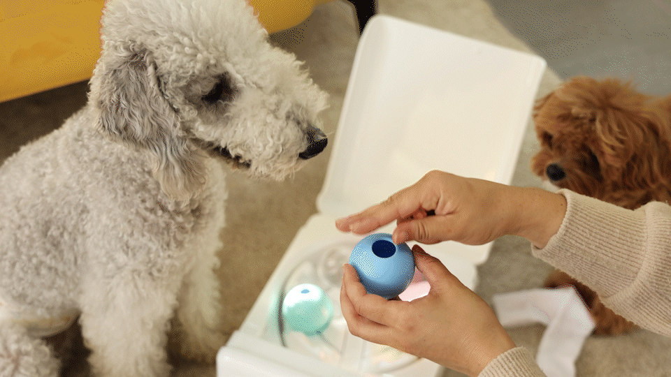 Treatoi Interactive Pet toy x 2