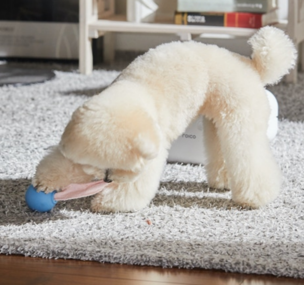Treatoi Roly Poly Toy Ball